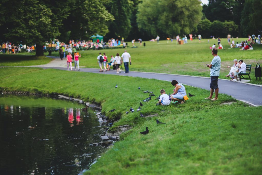 Image of a public park by a lake with many people enjoying the outdoors.