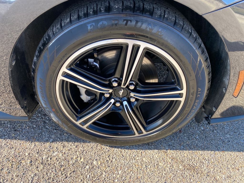 2024 Ford Mustang EcoBoost Premium Convertible